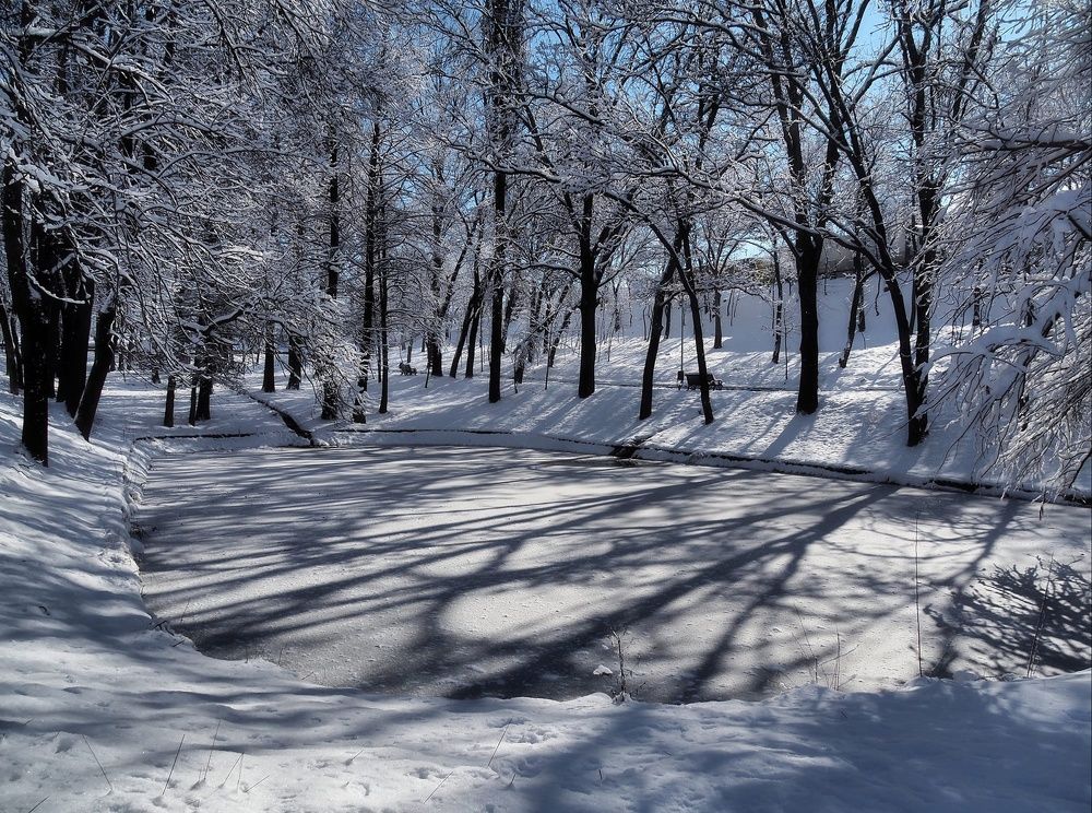 Photograph by Cornelia Ilie