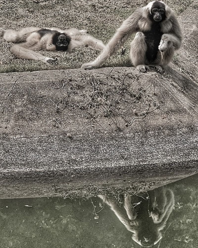 Photograph by Анна Далингер