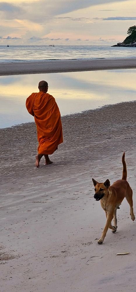 Фотография автора Анна Далингер