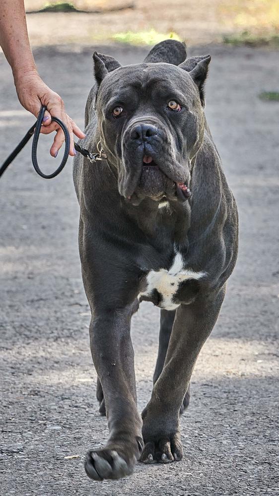 Вся эта суета...