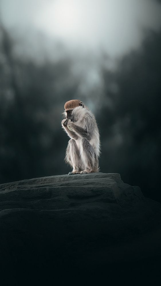 Photograph by  Shady