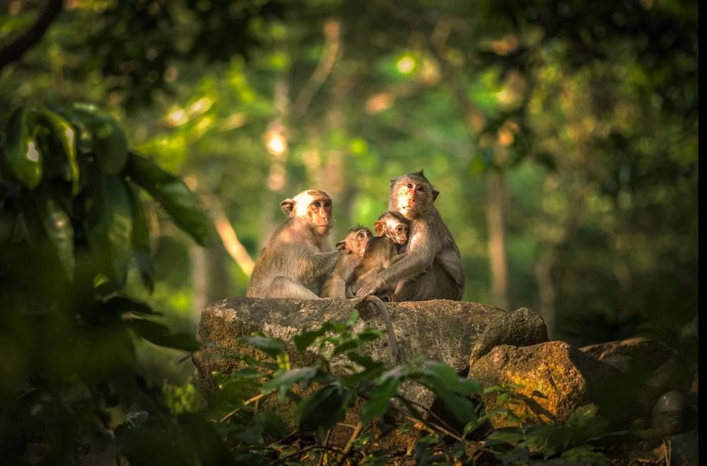 Photograph by Dao Duc