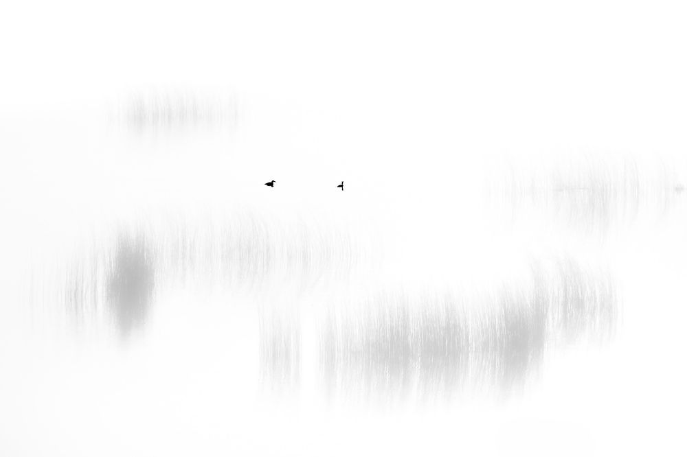 Photograph by Сергей Тельнюк