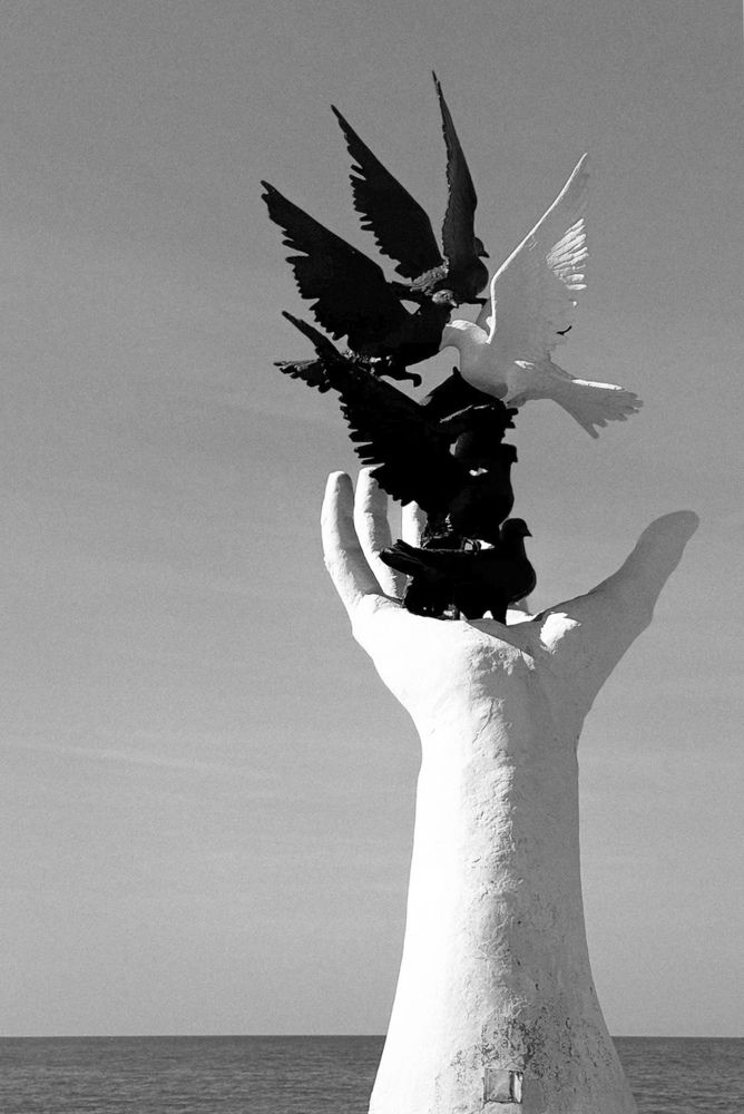 Фотография автора Карина Даутова