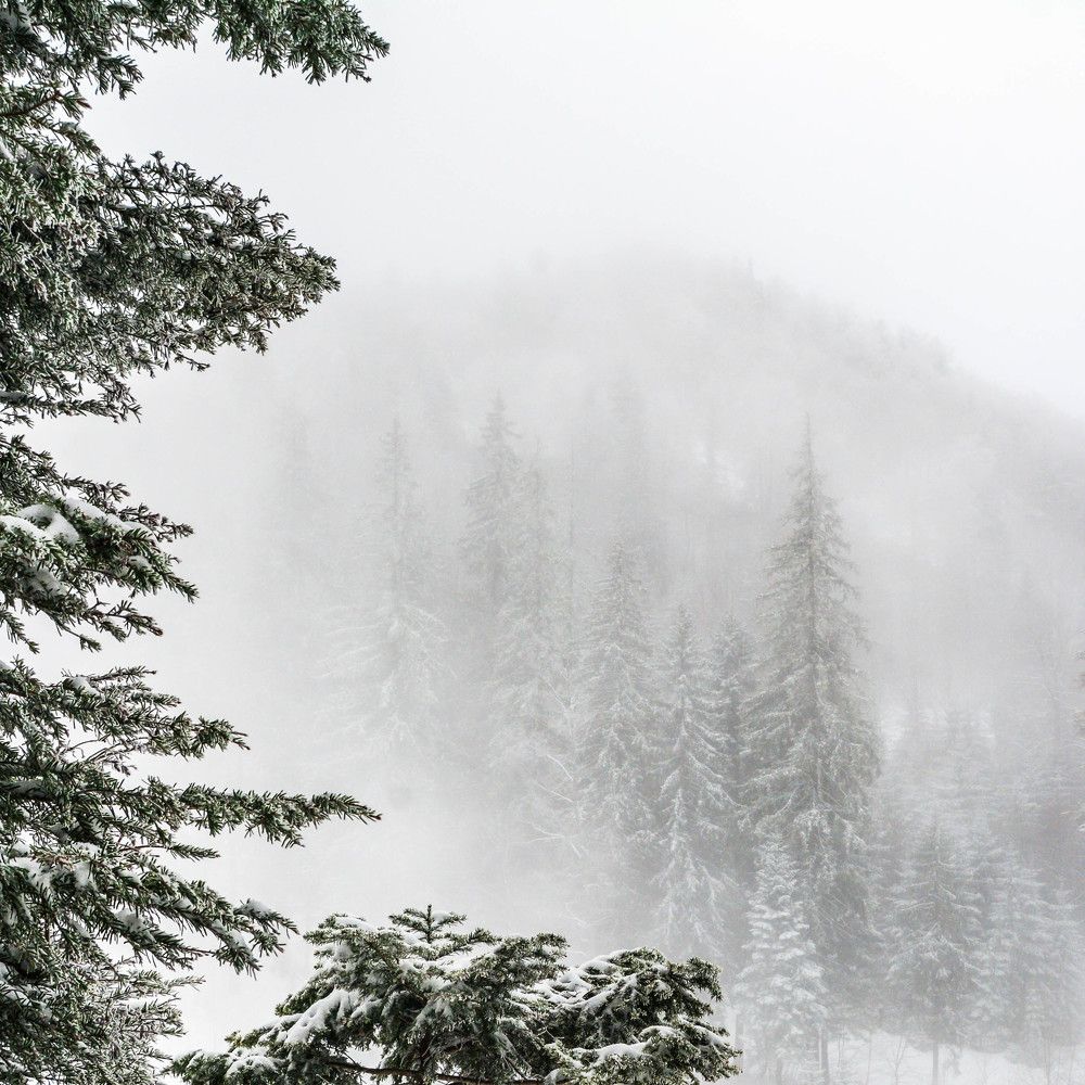 Photograph by Ana-Maria Tatarus