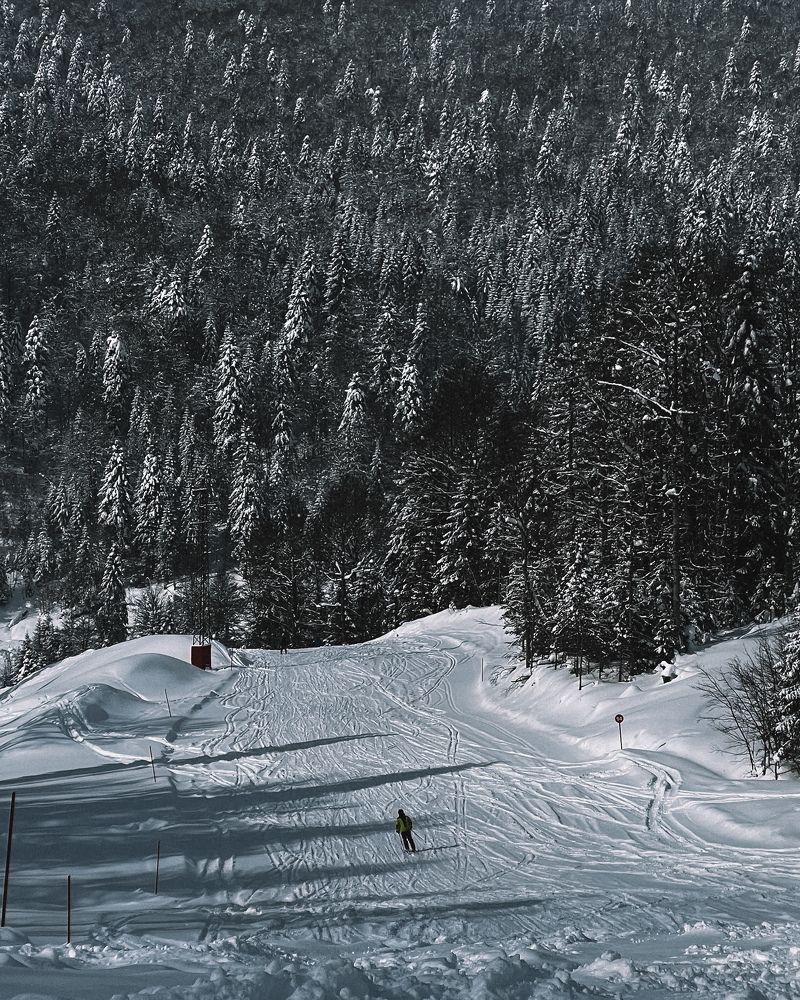 Photograph by Арина Абашкина