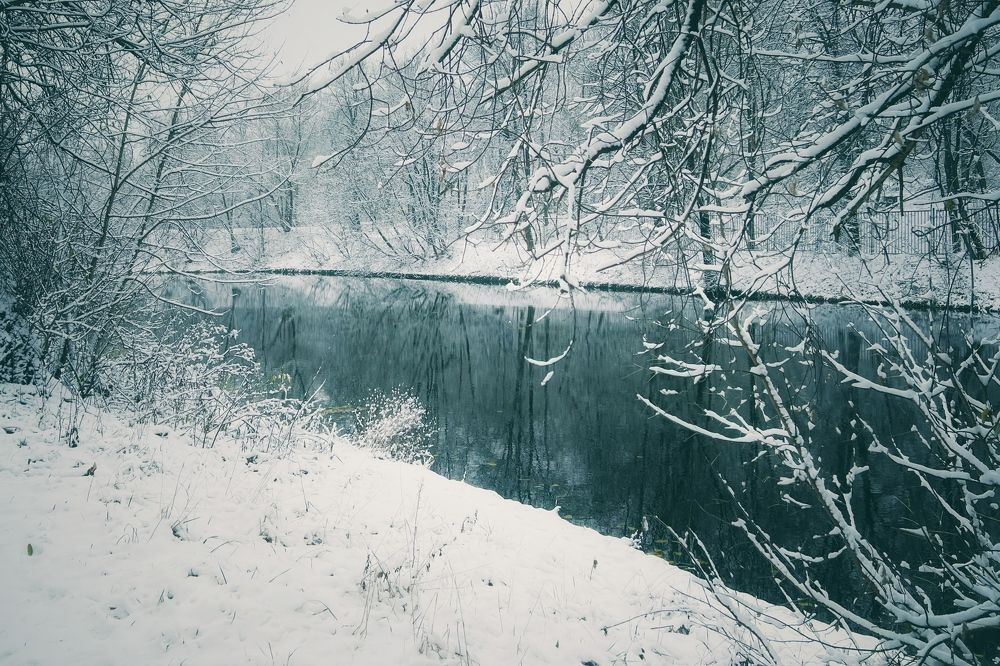 Photograph by Юлия Честнова