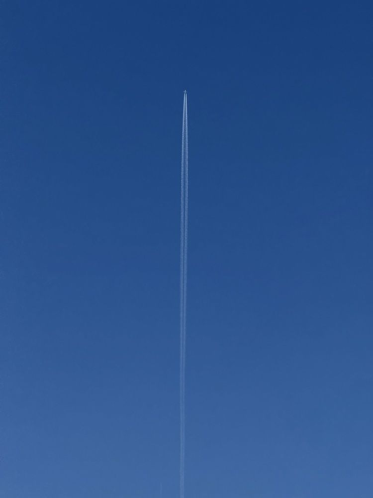 Фотография автора Карина Даутова