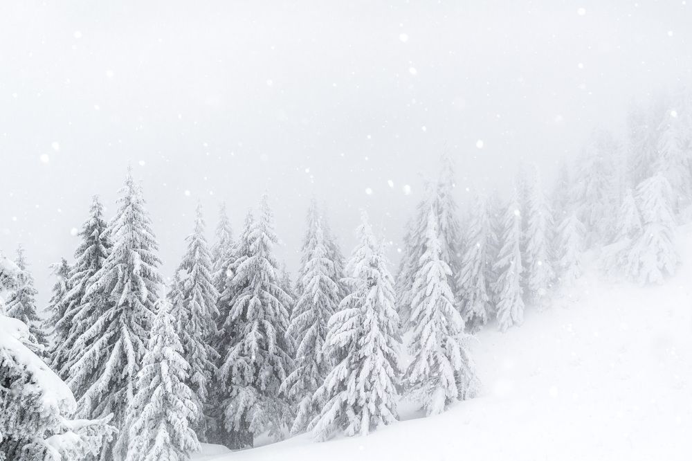 Photograph by Ana-Maria Tatarus