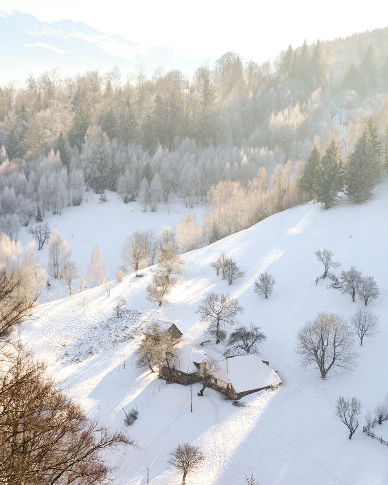 Photograph by Ana-Maria Tatarus