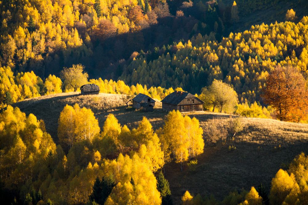 Photograph by Ana-Maria Tatarus