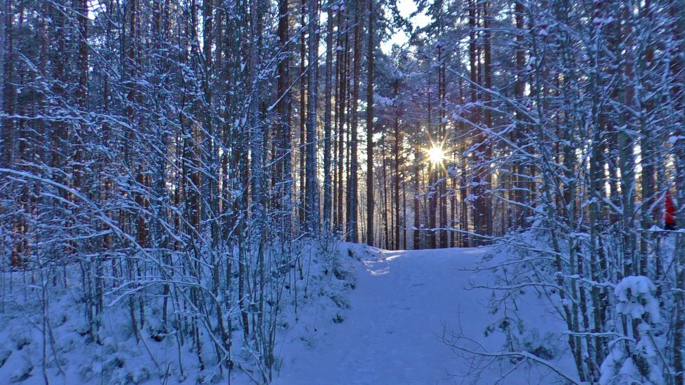 Photograph by Tatyana Semenova