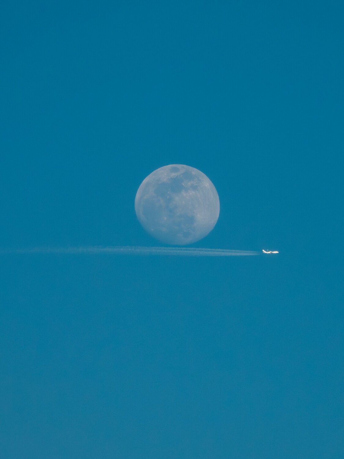 Photo #11708620