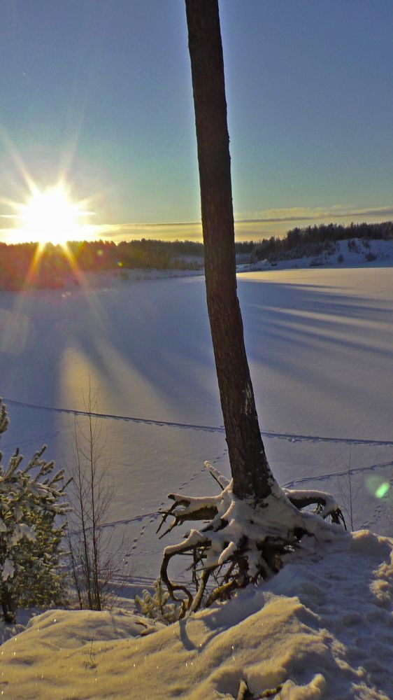 Photograph by Tatyana Semenova