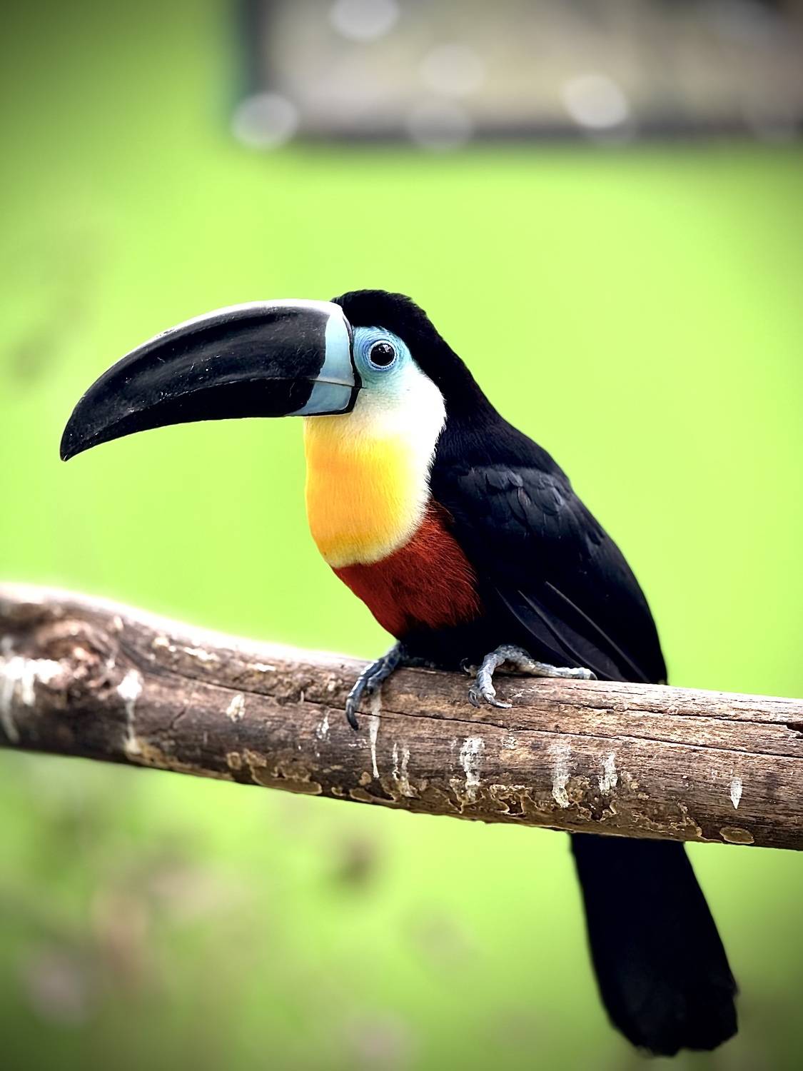 Magic of nature