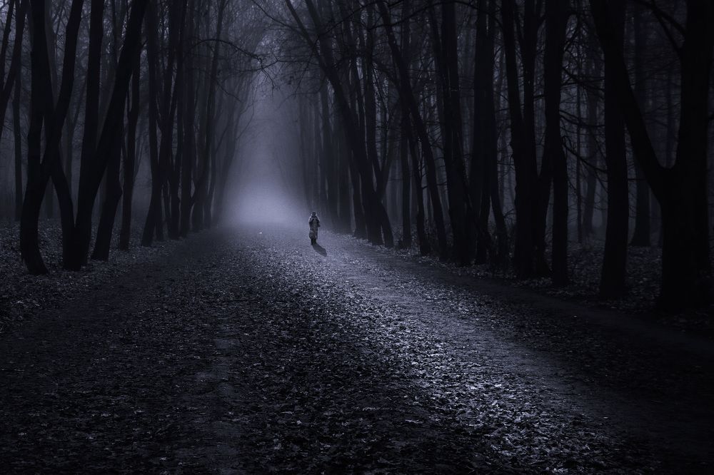 Photograph by Сергей Тельнюк