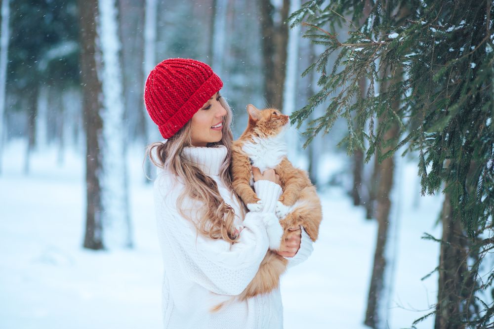 Photograph by Катерина Повидайко