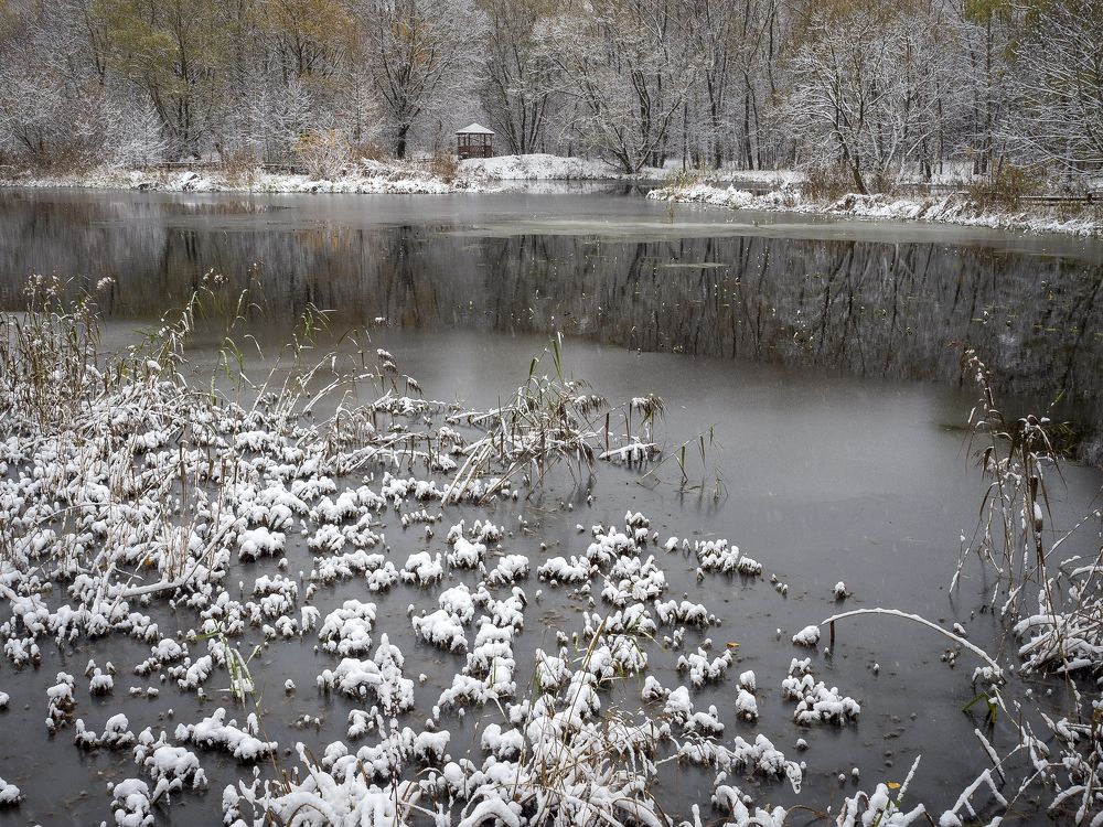 Photograph by александр печенкин