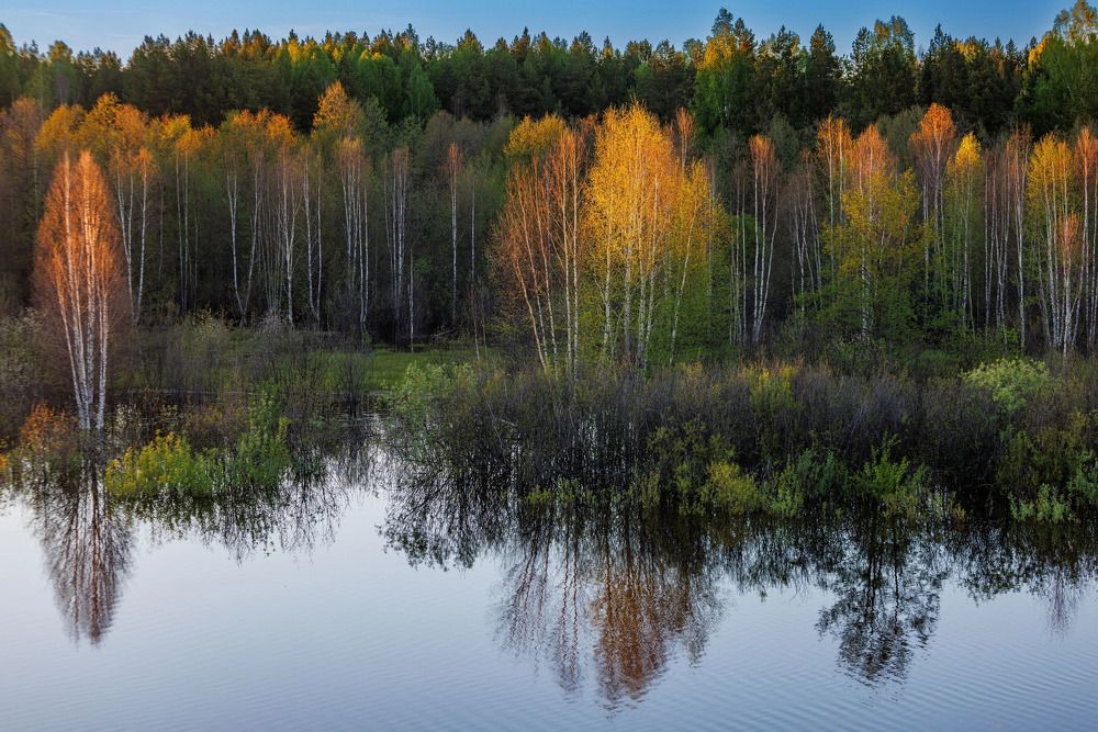 Photograph by Ольга Чибисова