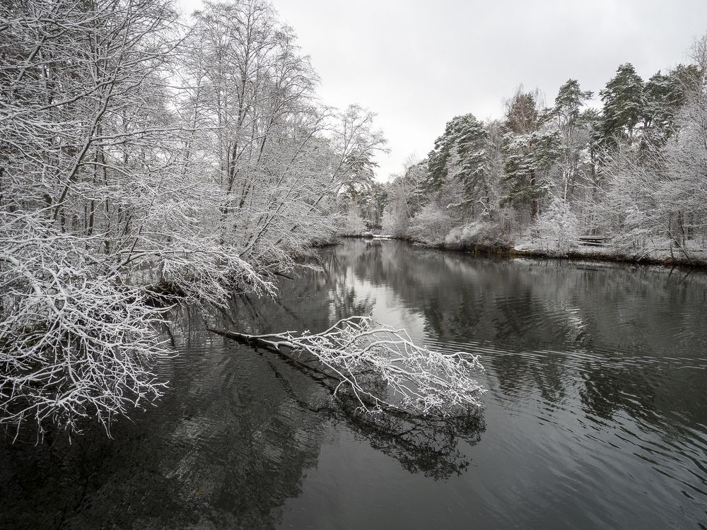 Photograph by александр печенкин