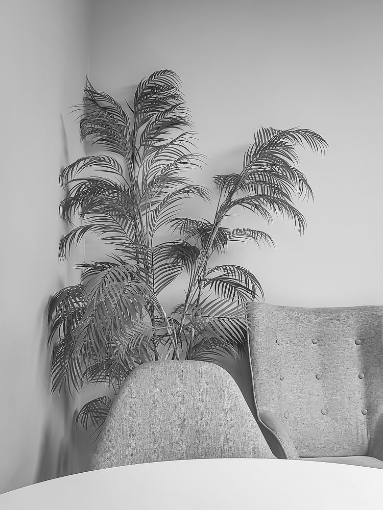 Photograph by Роман Садовский