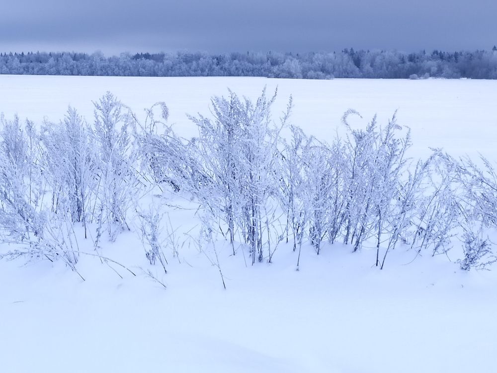 Photograph by Olga Kot