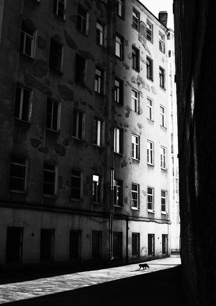 Photograph by Денис Никулин