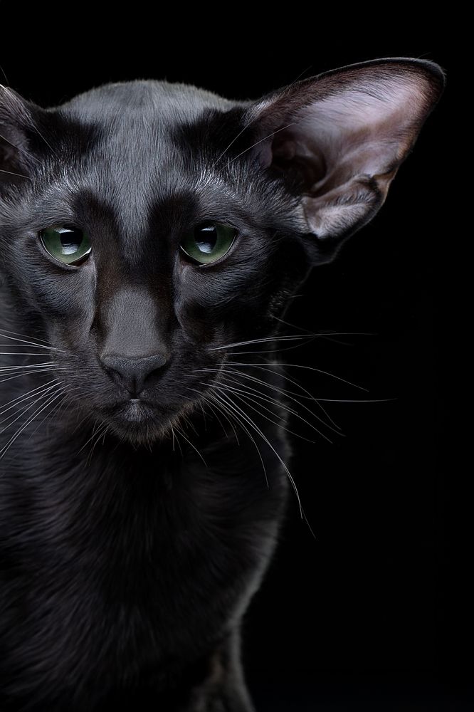 Photograph by Светлана Писарева