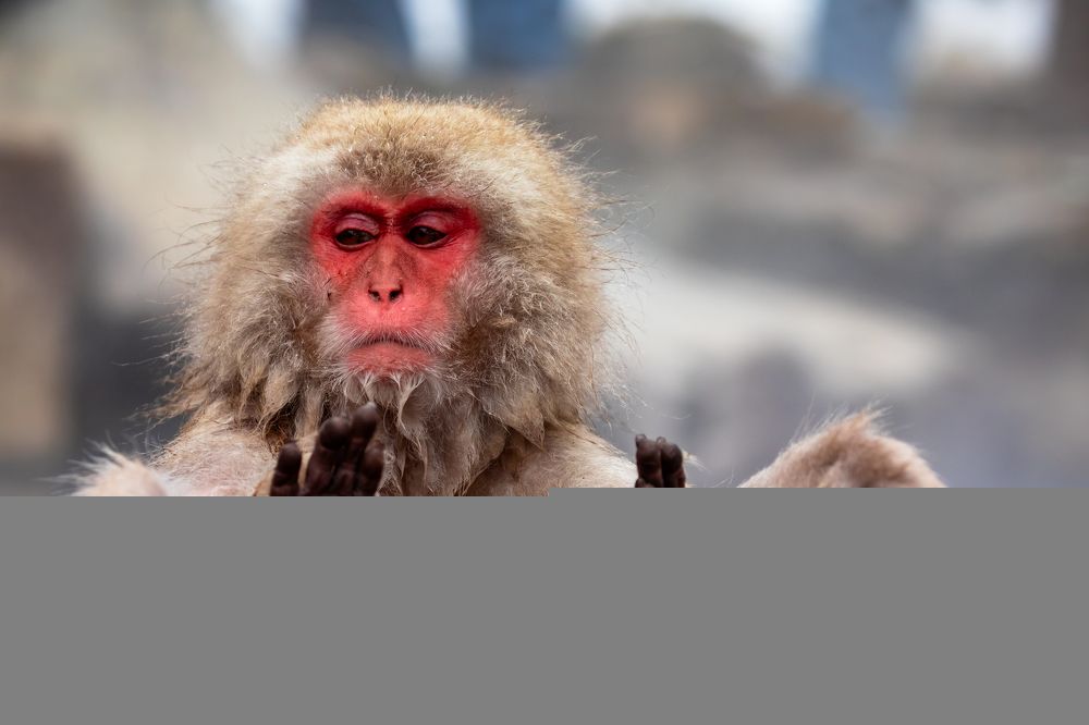 Photograph by Vita Potomova