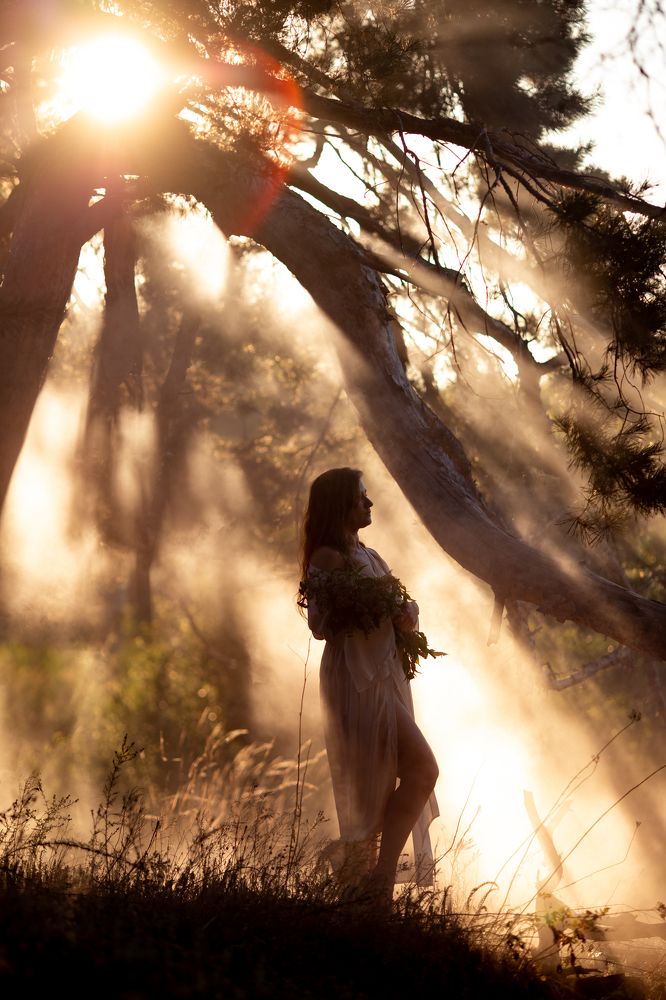 В первых лучах летнего солнца