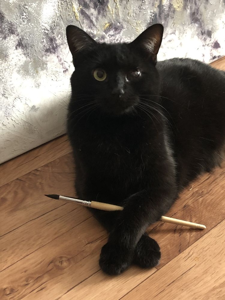 Photograph by Оксана