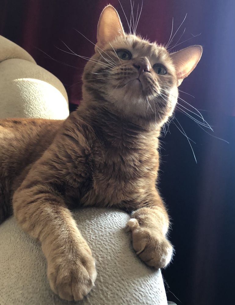 Photograph by Оксана