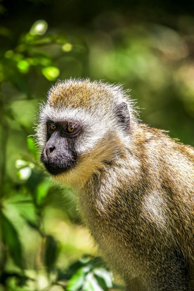 Photograph by Siamak Sabet