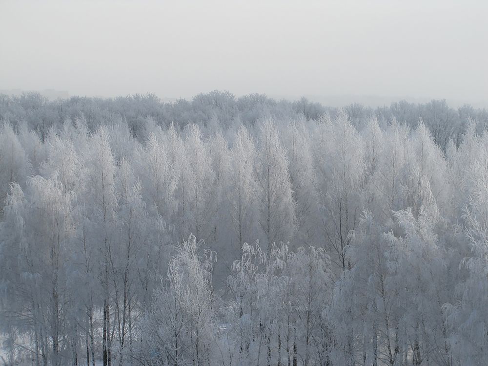 Photograph by Наталья Кузнецова