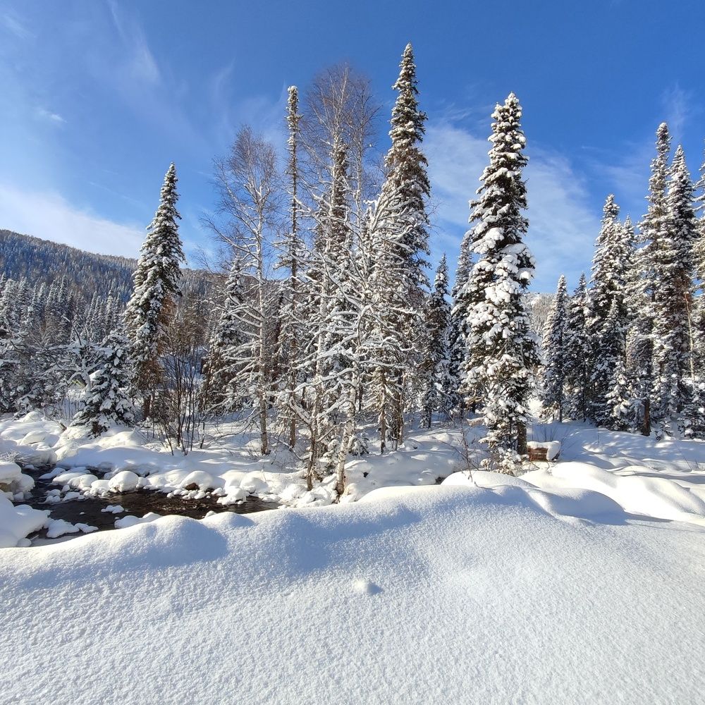 Photograph by Наталья Глек