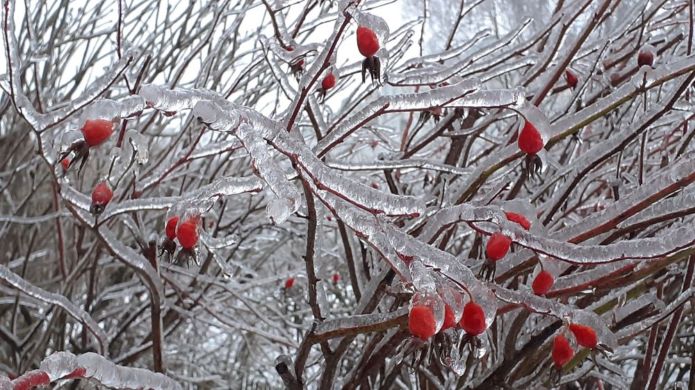 Photograph by Наталья Кузнецова