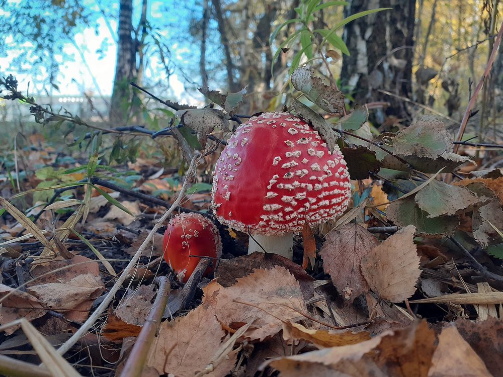 Photograph by Наталья Кузнецова