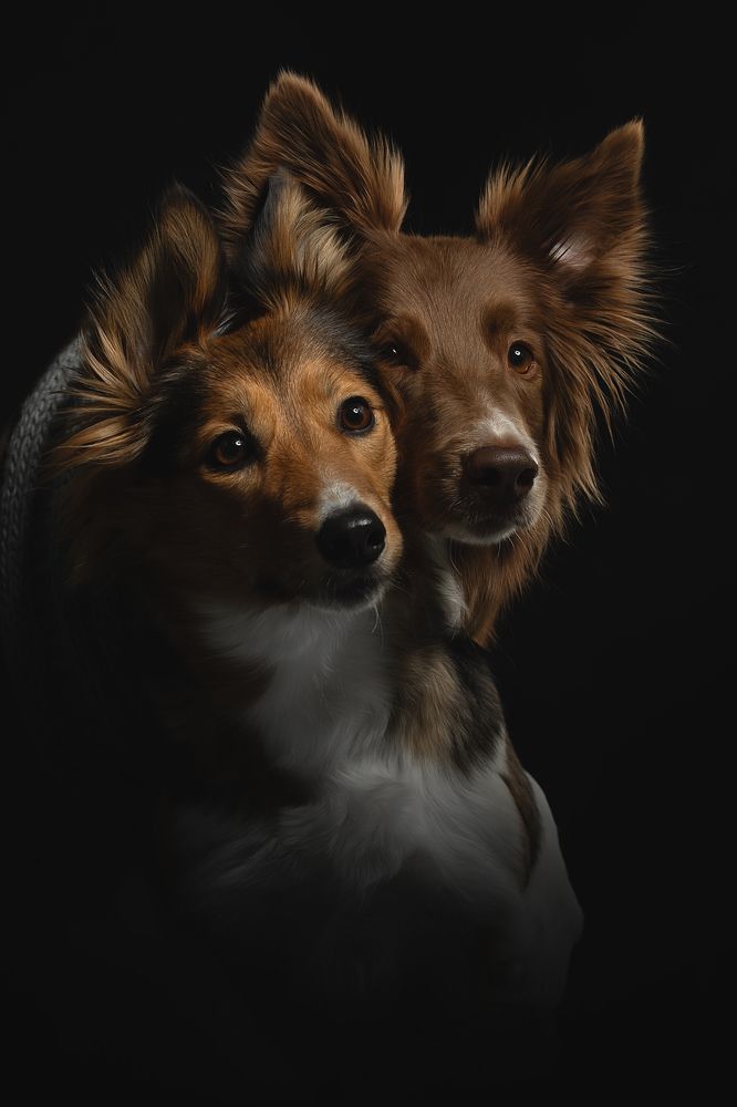 Photograph by Светлана Писарева