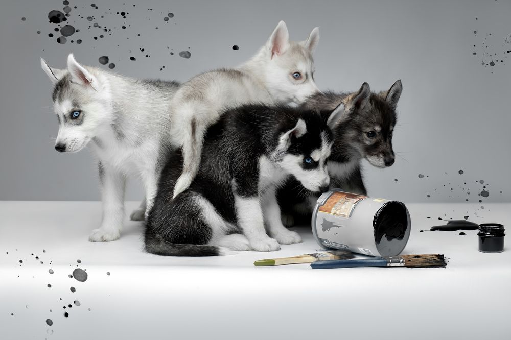 Photograph by Светлана Писарева