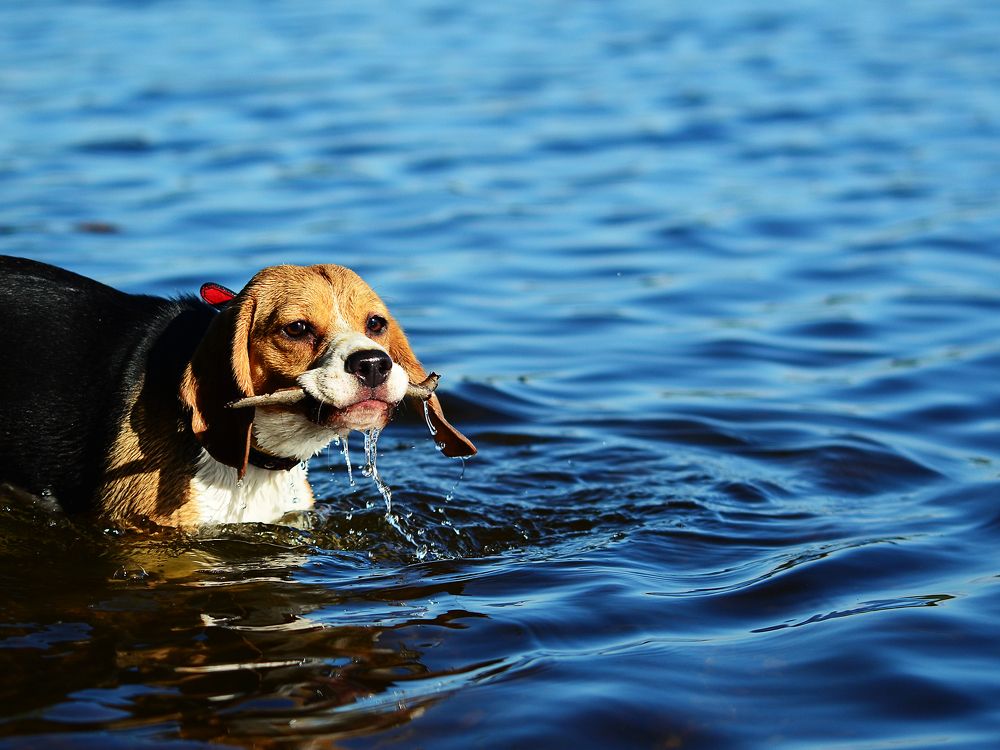 Photograph by Михаил Штенберг