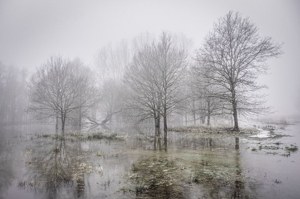 Photograph by Ben De Winter