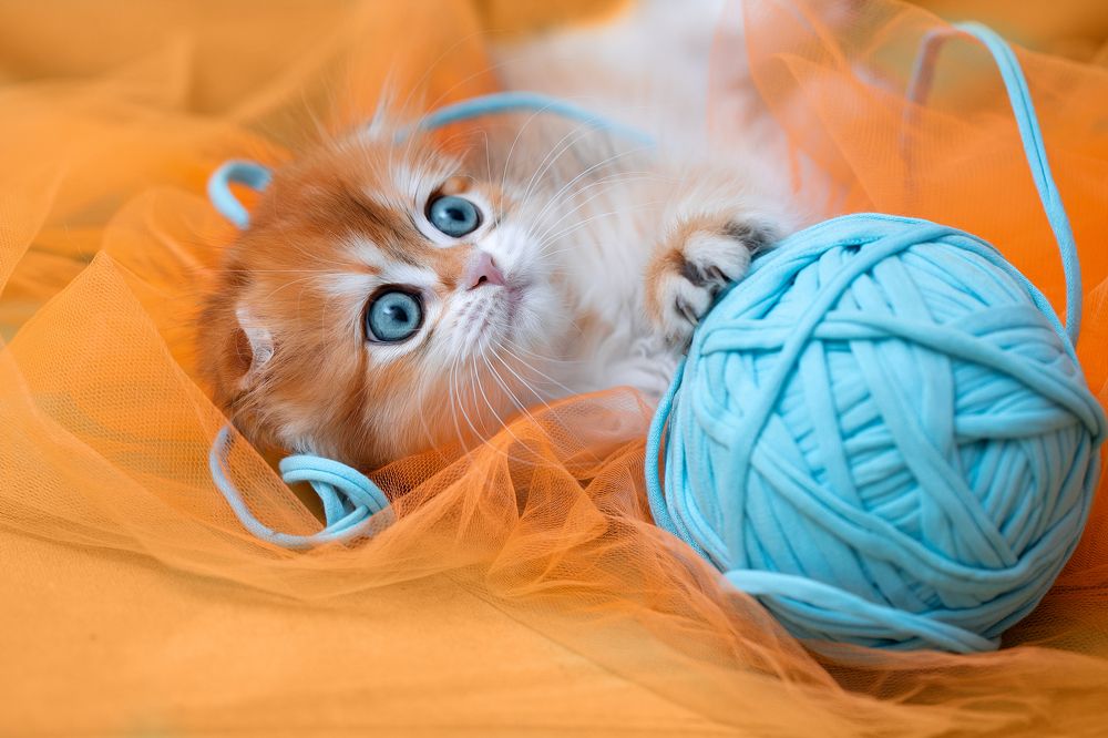 Photograph by Светлана Писарева