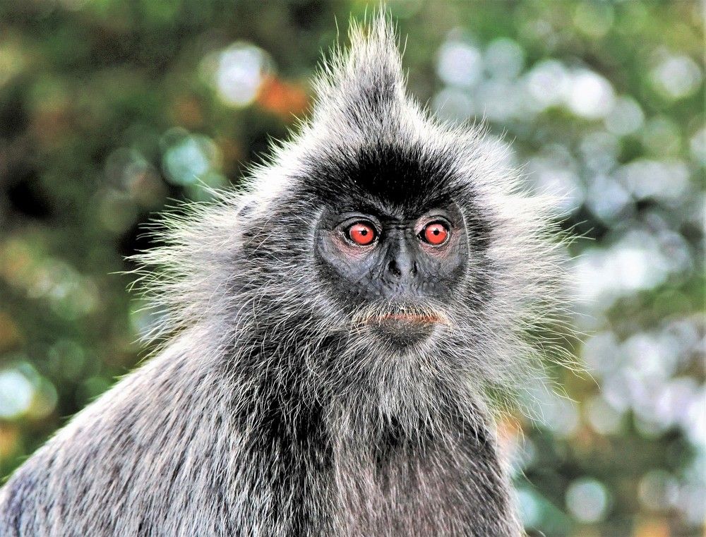 Photograph by Сергей Журавлев