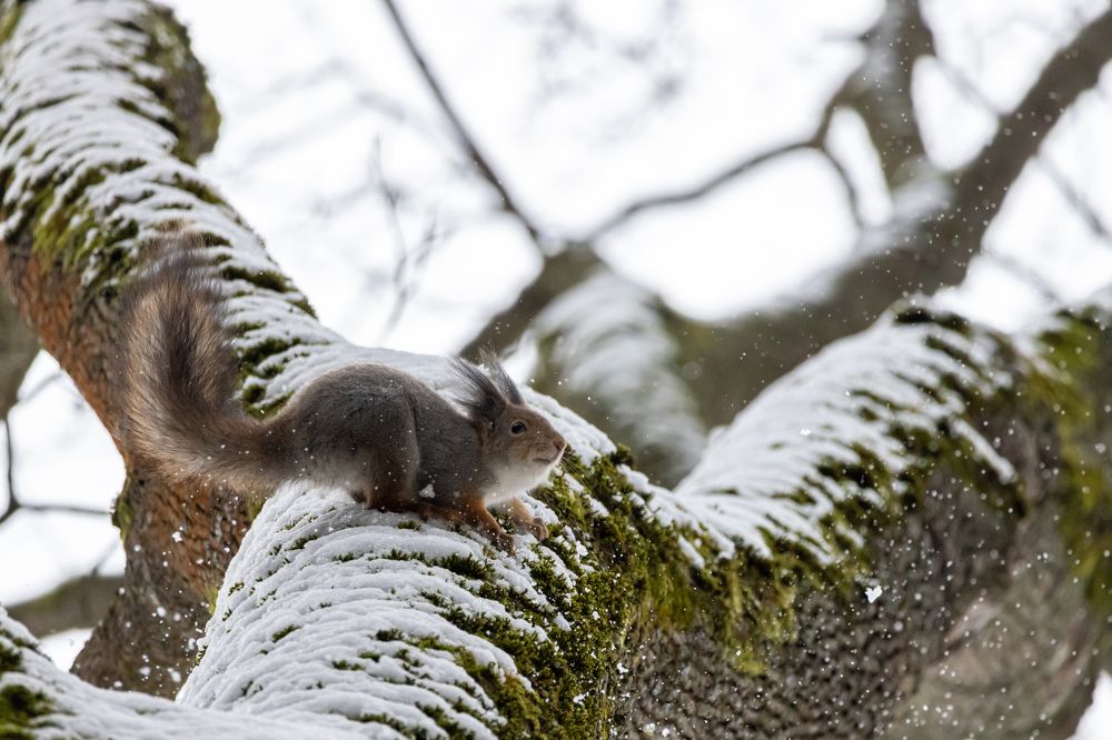 Photograph by Андрей Бовин