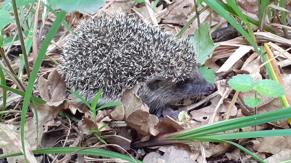 Photograph by Наталья Кузнецова