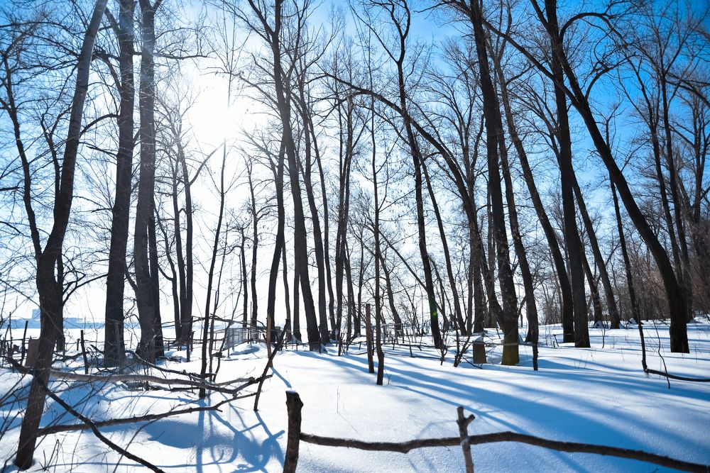 Photograph by Мария Негреева