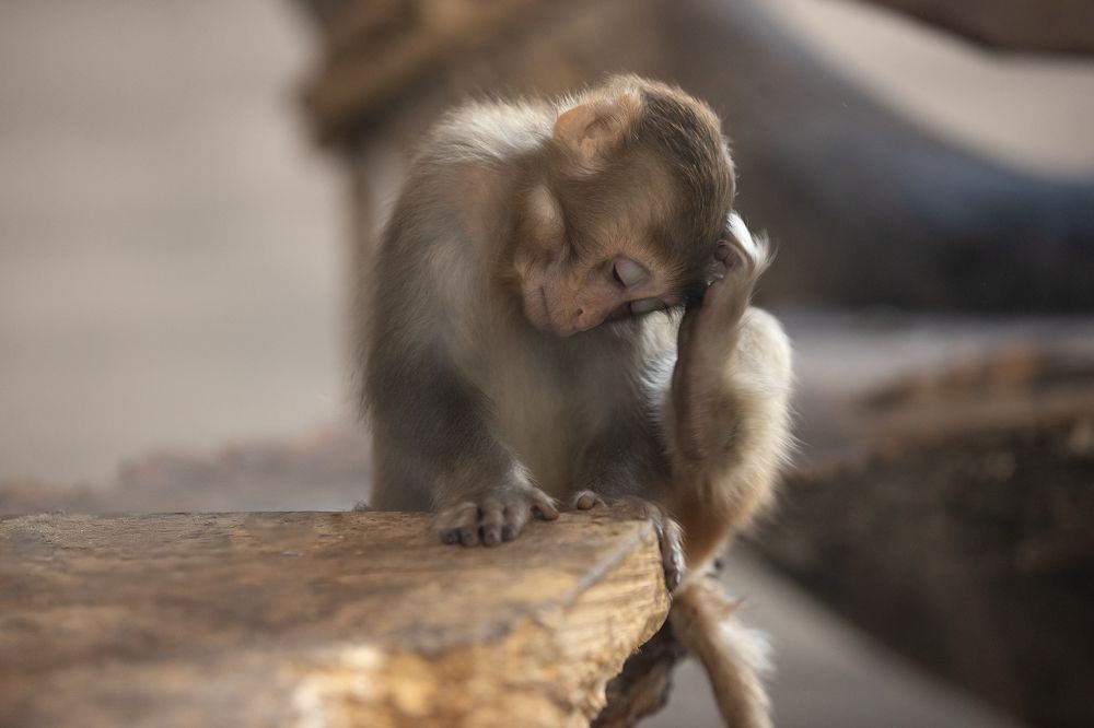 Photograph by Светлана Писарева