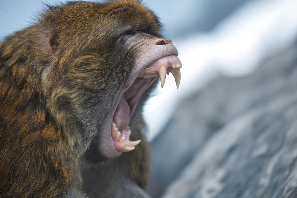 Photograph by Светлана Писарева