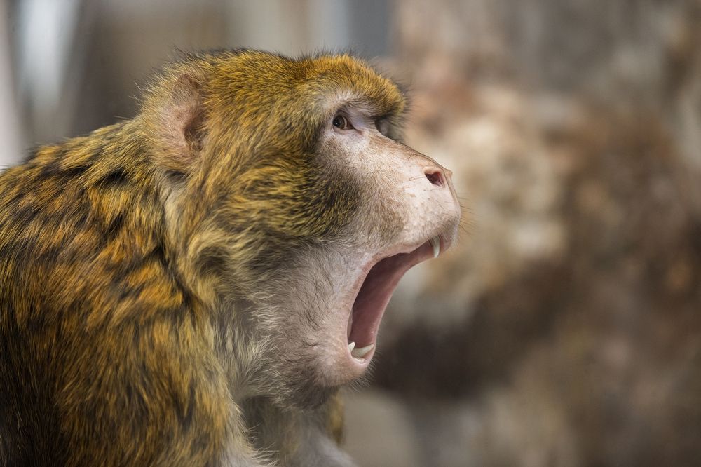 Photograph by Светлана Писарева