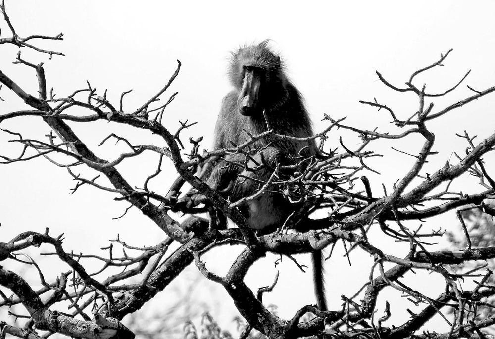 Photograph by Marjo Steffen